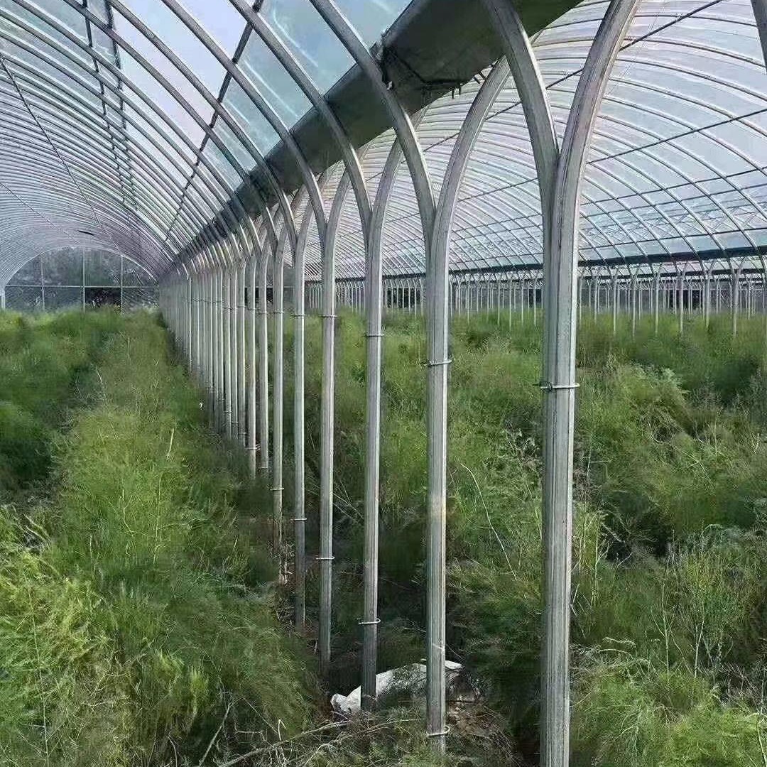 扁圆管大棚，热镀锌椭圆钢管建造大棚骨架，蔬菜大棚价格包工包料