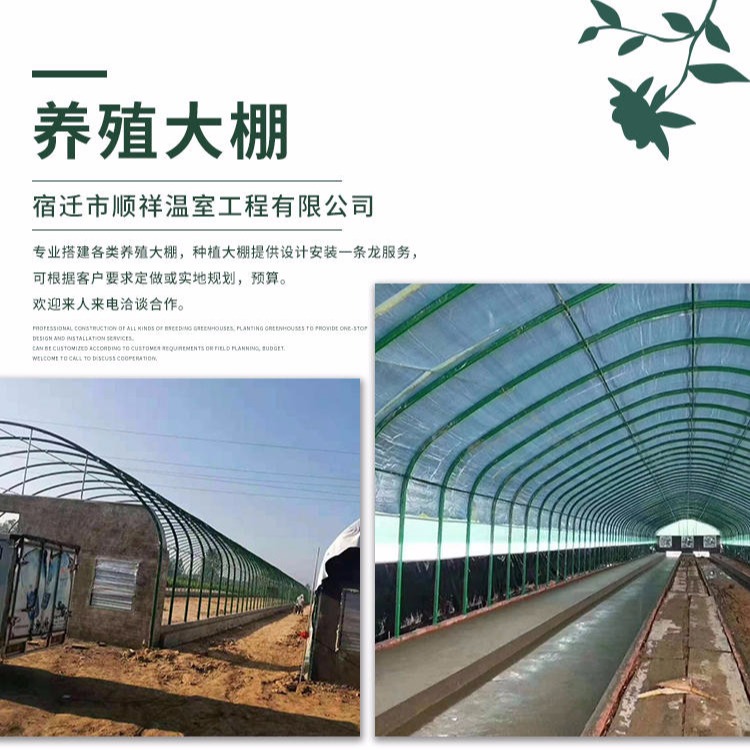 塑料薄膜温室建造 包塑椭圆管保温隔热钢管造价一平方米