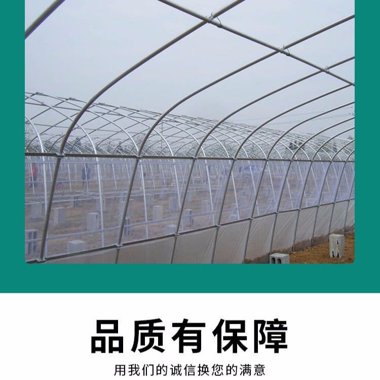 搭建蝎子豆丹饲养钢架温室1平方米 特种昆虫钢管骨架建设